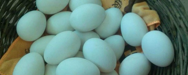 吃鵝蛋對孕婦有什麼好處 吃鵝蛋對孕婦好處是什麼