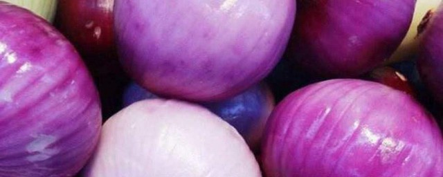 紫色洋蔥怎麼挑選 挑選洋蔥的方法