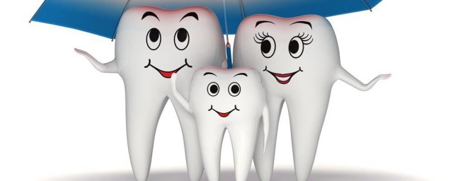 人的牙齒一共多少顆牙齒 牙齒介紹