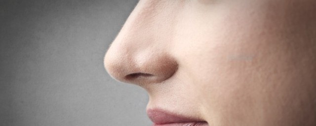 黑鼻頭的清理方法 怎樣去除黑鼻頭