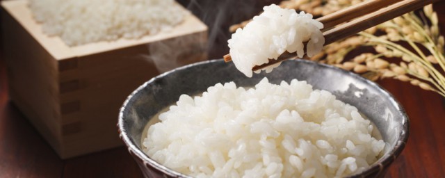 長期不吃米飯會怎麼樣 減肥節食不等於不吃飯