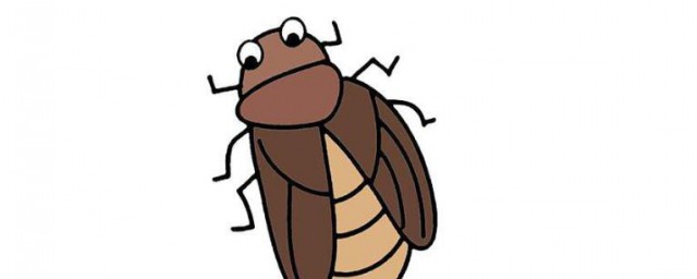 什麼是蟑螂的天敵 蟑螂的天敵有哪些