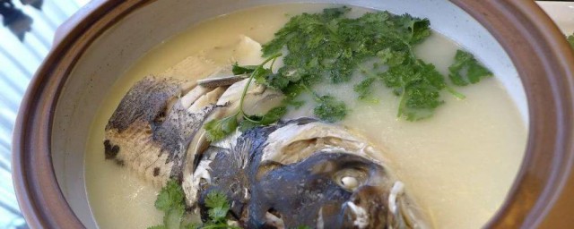 怎樣做魚頭湯最好喝 好喝清爽簡單的魚頭湯怎麼做