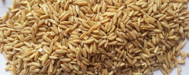 燕麥米怎麼吃 燕麥米吃的方法