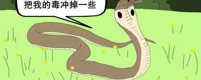 世界十大毒蛇 世界十大毒蛇簡介