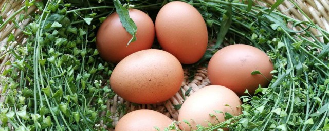 三月三煮雞蛋是用什麼草 這個有什麼特點