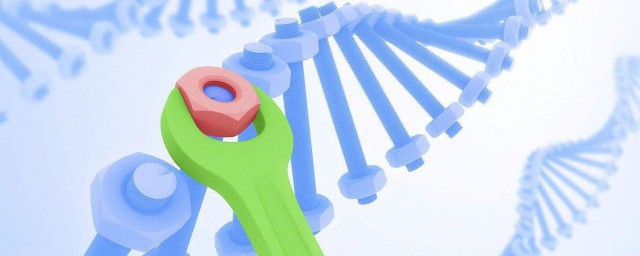 基因工程原理 基因工程介紹