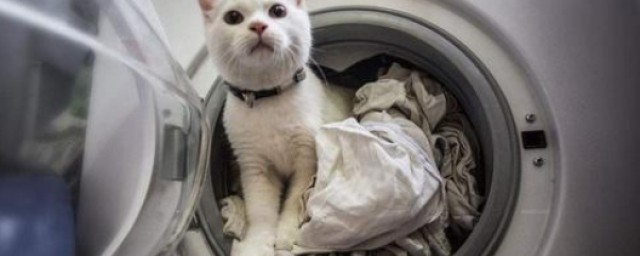 衣服能經常用洗衣機洗嗎 什麼衣服都可以放洗衣機洗嗎?
