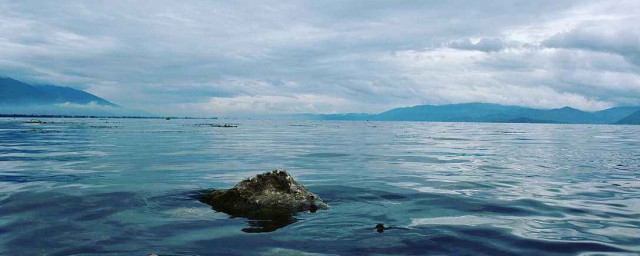 大理洱海為什麼魚跳 是什麼原因