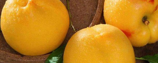 黃油桃的功效與作用 黃油桃對人體的好處