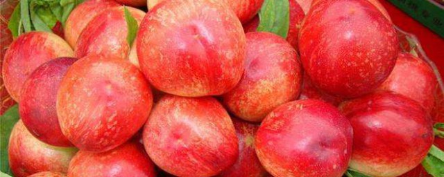 油桃的功效與作用 油桃有什麼作用
