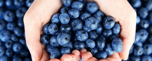 藍莓怎麼洗才幹凈 藍莓清洗的小技巧