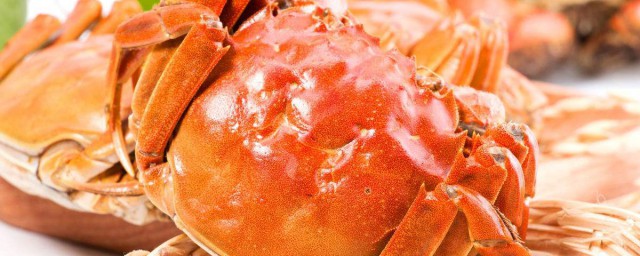 大閘蟹怎麼弄 大閘蟹什麼時候吃最好