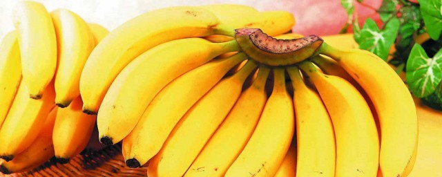 香蕉不熟怎麼弄熟 香蕉不熟弄熟的方法