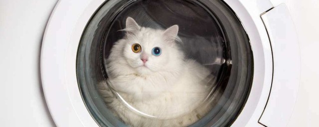 怎麼讓貓不去洗衣機 洗衣機怎麼使用