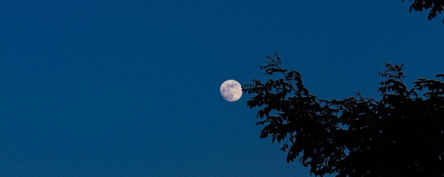 夏天的月亮怎麼形容 有哪些句子
