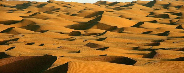 中國最大的沙漠是 中國最大的沙漠簡介