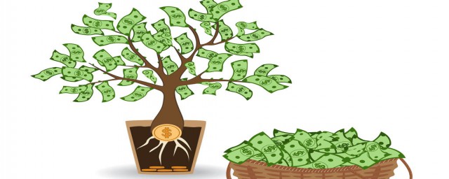 金錢樹養殖方法 金錢樹養殖方法詳情介紹
