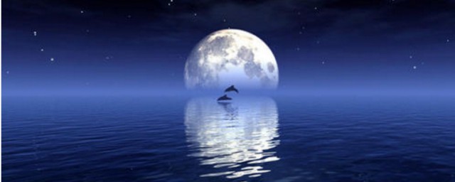 關於月亮的詩詞 關於月亮的詩詞有哪些