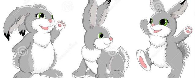兔子的成語 兔子的有關成語都有哪些