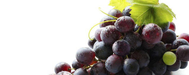 孕婦可以吃葡萄嗎 葡萄有什麼營養價值
