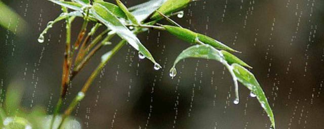 關於雨的詩歌 關於雨的詩歌有哪些