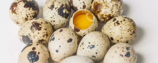 鵪鶉蛋的作用以及功能 鵪鶉蛋對人體的好處