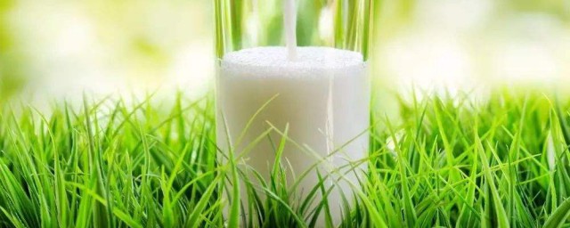 糖尿病人能喝牛奶嗎 喝牛奶有什麼好處