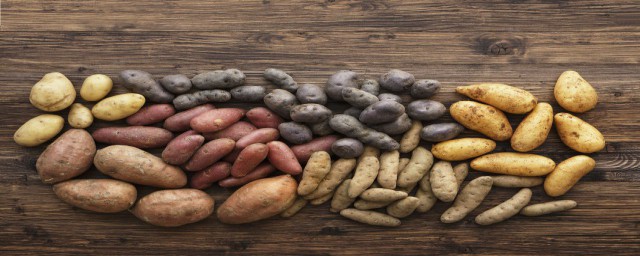 土豆長芽瞭還能吃嗎 吃發芽土豆的危害有哪些