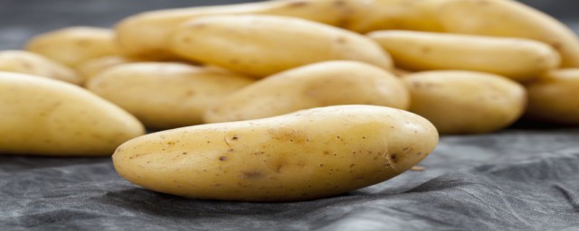 土豆發芽還能吃嗎 怎麼防止土豆發芽