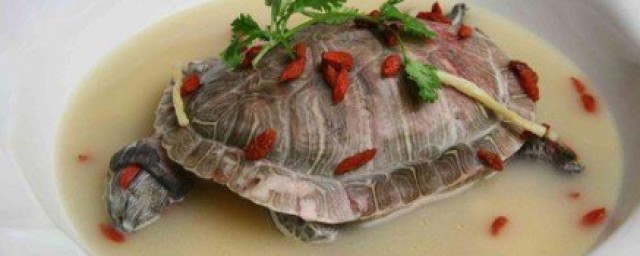 巴西龜能吃嗎 巴西龜的功效