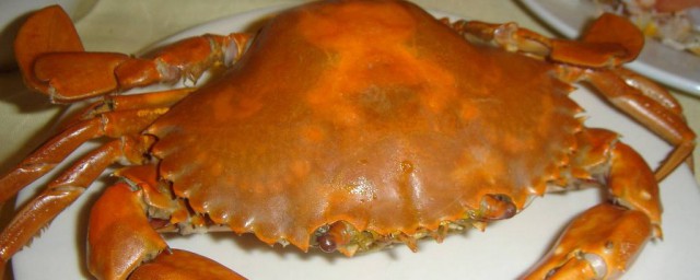 黃油蟹如何吃 黃油蟹的吃法