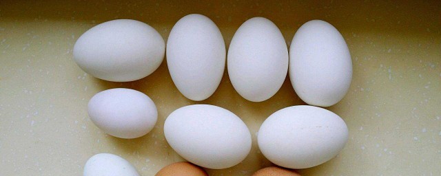 鵝蛋營養價值 鵝蛋營養價值是什麼