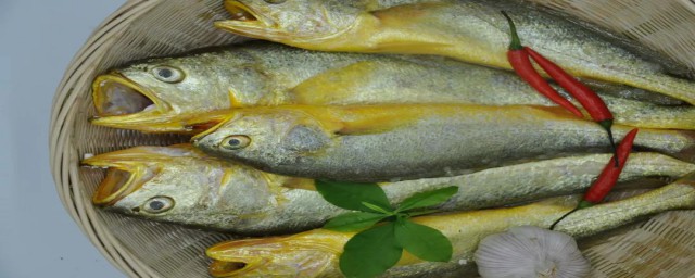 黃花魚怎麼做 清蒸黃花魚怎麼做