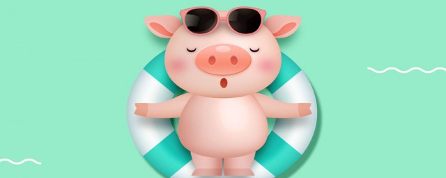 豬會遊泳嗎 豬是否會遊泳的解析