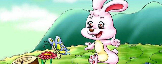 小兔子的故事 有關小兔的故事講解