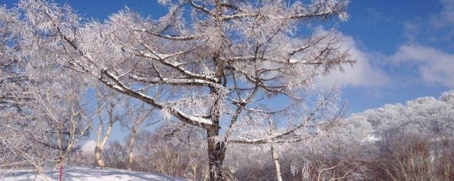 關於描寫冬天的詩句 9句關於描寫冬天的詩句
