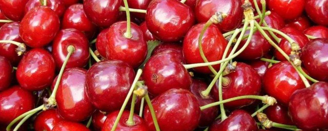 櫻桃的營養 櫻桃的營養是什麼