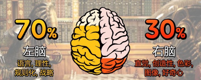 左腦型思維者介紹 左腦型思維者是什麼