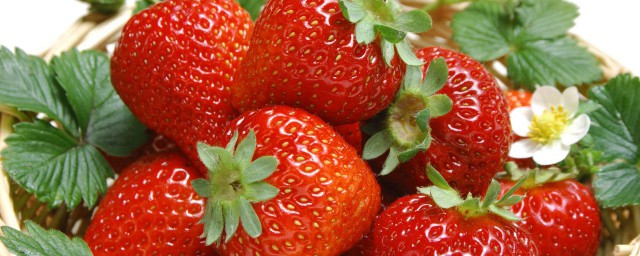 草莓是熱性還是涼性 屬於涼性水果