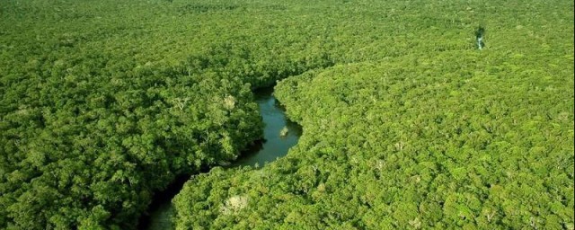 世界上最大的平原介紹 亞馬遜平原介紹