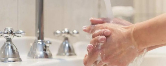 揉搓步驟七字口訣 需要怎麼洗手