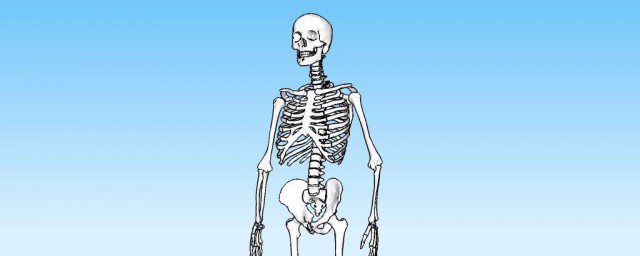 人有多少塊骨頭 會出現什麼疾病