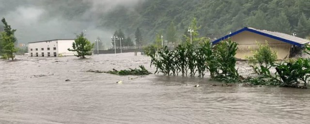 暴雨引發的災害是 漬澇和洪澇危害