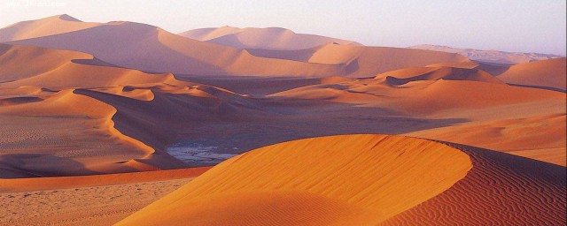 世界上最大的沙漠是什麼沙漠 該地的氣候條件如何