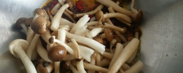 海鮮菇怎麼做好吃 這樣做簡單好吃