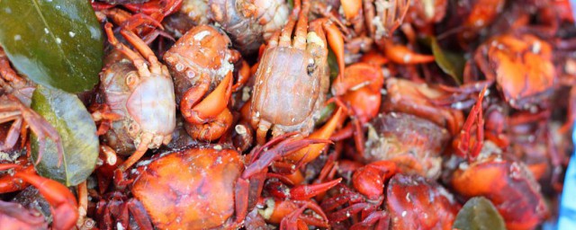 小螃蟹怎麼做好吃 小螃蟹的簡單做法