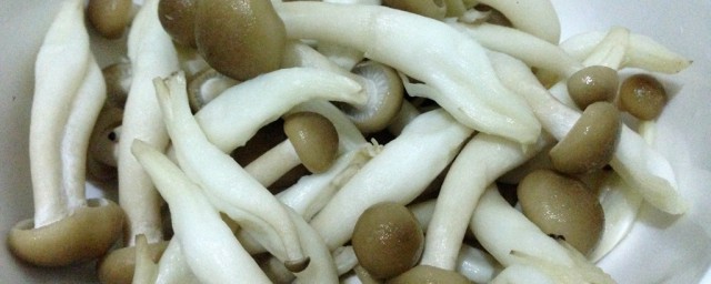 蟹味菇怎麼做好吃 如何做蟹味菇