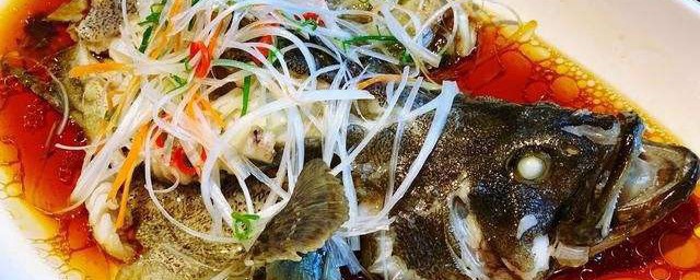清蒸石斑魚是哪裡的菜系 清蒸石斑魚介紹