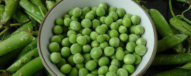 豌豆的營養價值與食用功效 豌豆的營養價值與食用功效介紹